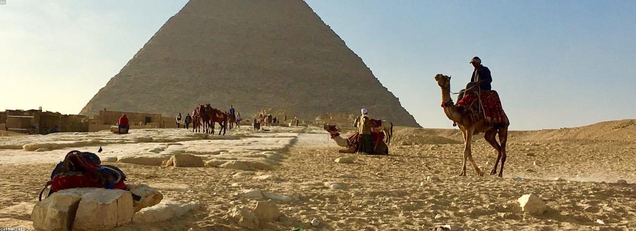 About Watania Travel