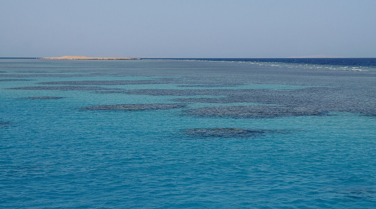 Red Sea Diving & Reef Safari
